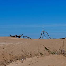 Nein, noch keine Wüste 😂