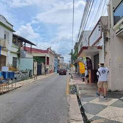 Wandering down the streets headed to the botanic gardens.
