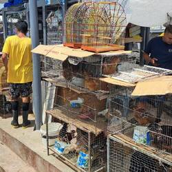 Yep -- these were for sale.