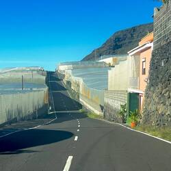 rechts und links der Straße Bananenplantagen