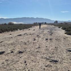 Ziemlich trocken und versteppt.