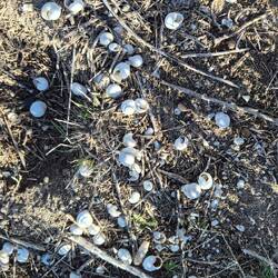 Reste des trocken gelegten Salzsees.