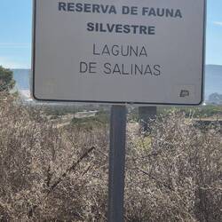 Gebiet für geschütztes Wild ( Kaninchen 🐰).