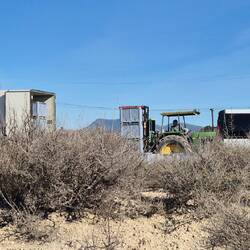 Die Feldpaletten werden sofort in den LKW verladen, alles Bio.