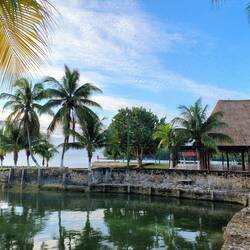 ... auf seinem Sonnenplätzchen auf der Kaimauer.