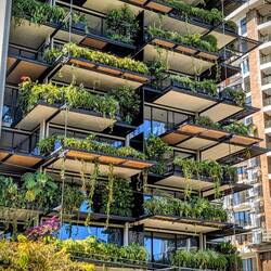 San José hat über 3.1 Millionen Einwohner