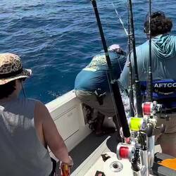 And the tuna has arrived!