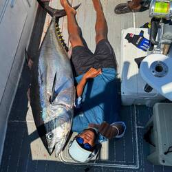 Jordan sizing up the tuna!