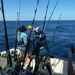 Garden with the assist!