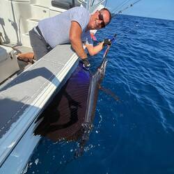 #1 Fish of the day! - Sailfish