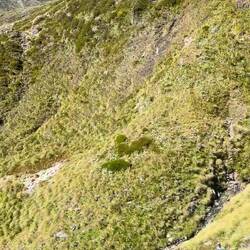 First steep descent of the day