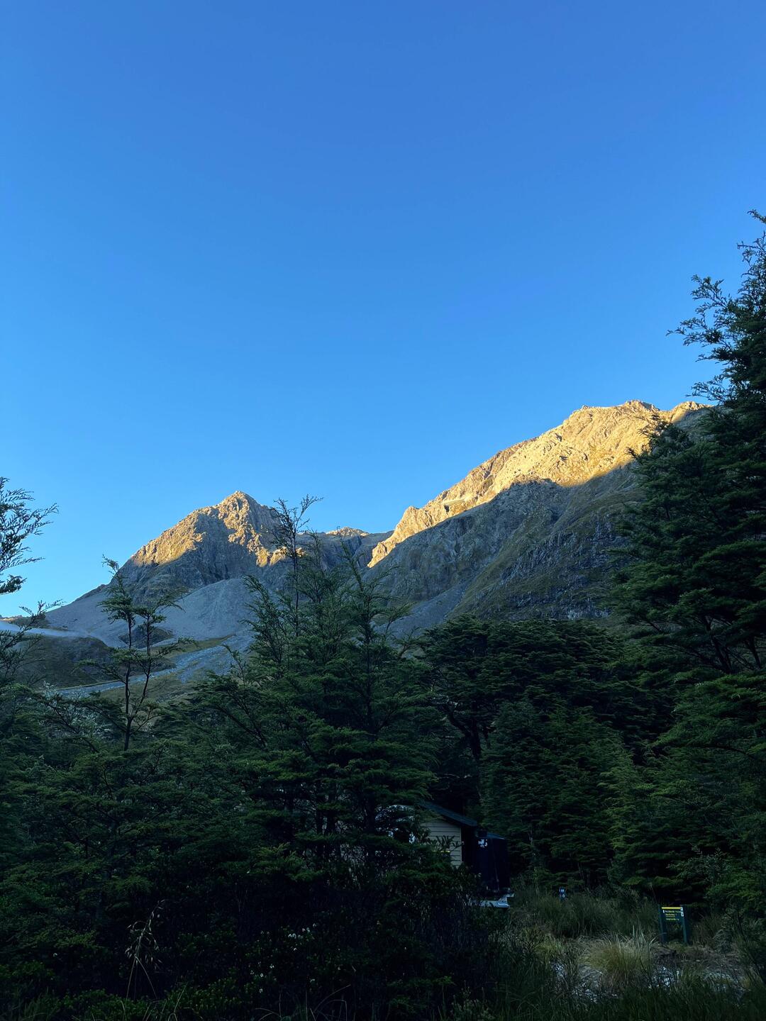 Morning view from my tent