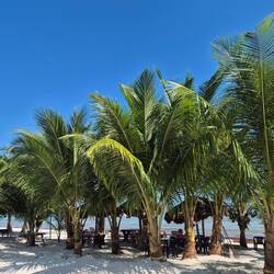 Auf den ersten Blick alles perfekt