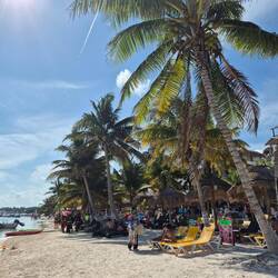 Palmen bis fast zum Wasser