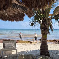 Vorne der verzweifelte Kampf gegen das Seegras