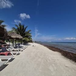 Der aktuell kaum zu gewinnen ist