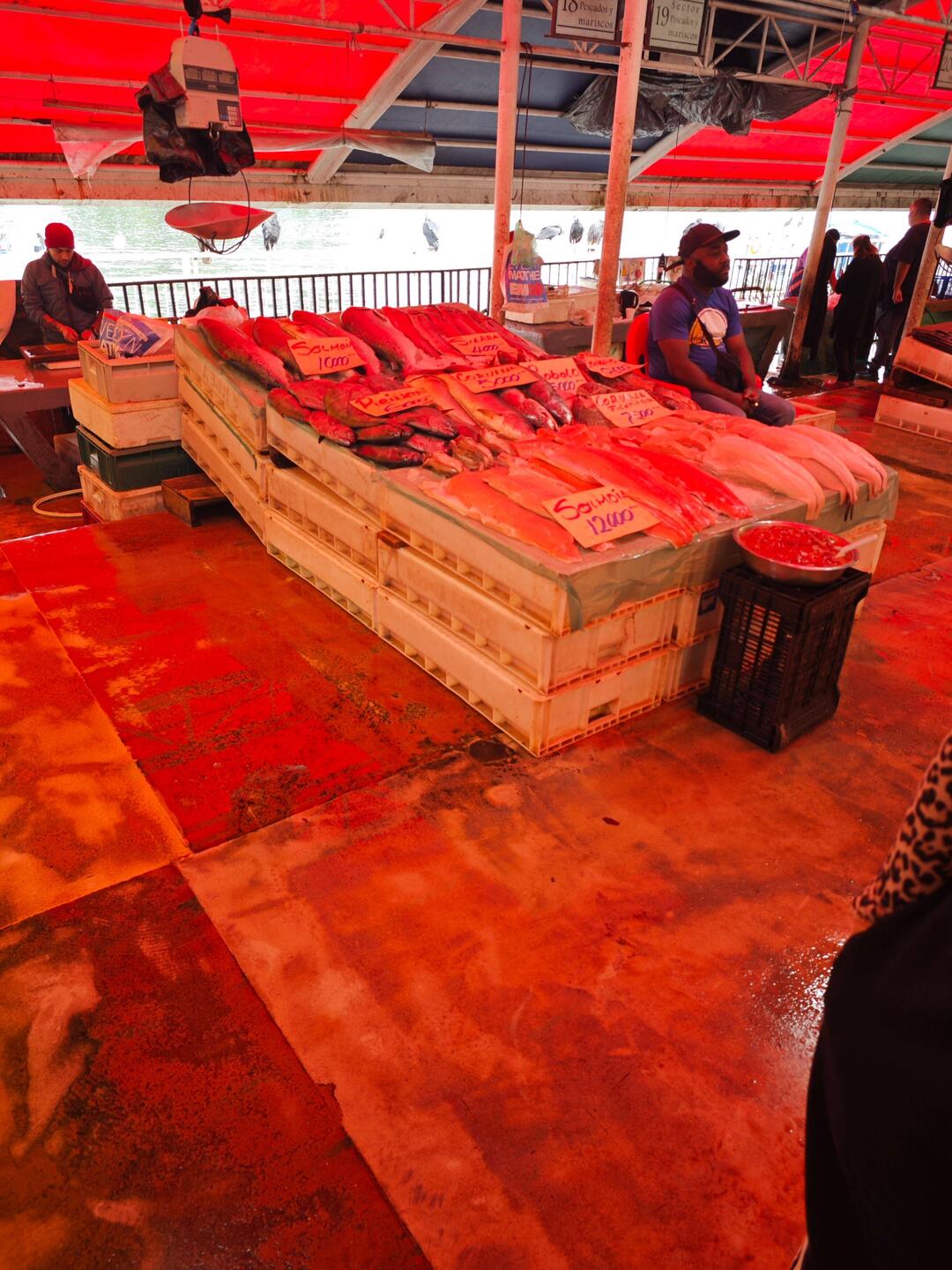 am Fisch- und Gemüsemarkt