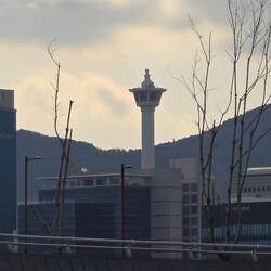 Der Busan Tower