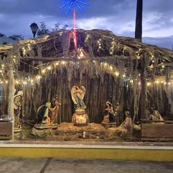 Riesen Krippe