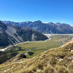 Als je inzoomt zie je hoe ongelooflijk druk het is