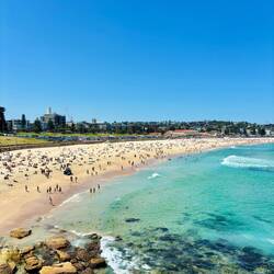 Bondi Beach 🏖️