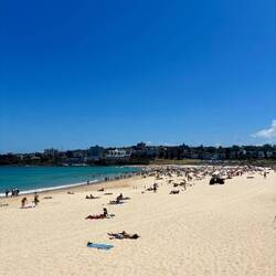 Bondi Beach 🏖️