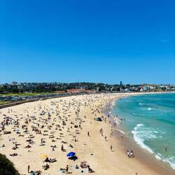 Bondi Beach 🏖️