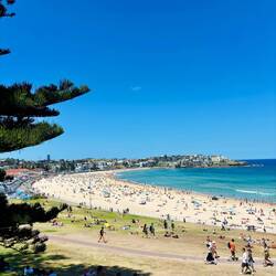 Bondi Beach 🏖️