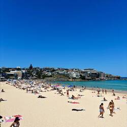 Bondi Beach 🏖️