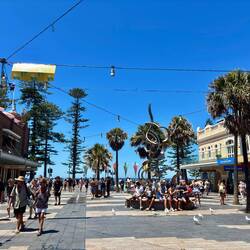 Promenade zum Manly Beach 🛍️🍔