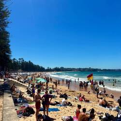 Manly Beach 🏖️