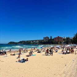 Manly Beach 🏖️