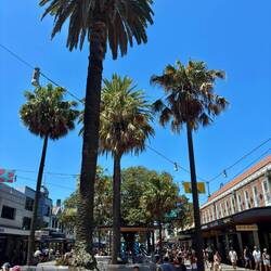 Promenade zum Manly Beach 🛍️🍔