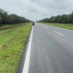 Cycling along between hectares of oil palm monoculture