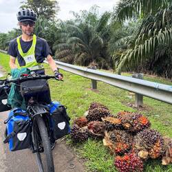 Piles of palm oil nuts lay by the road, cut by one man with a long pole with a scythe type blade
