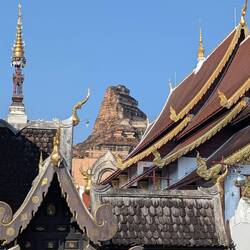 The backdrop and music reminded me of animal kingdom. Maybe that should be the other way around.