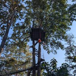 The quick jump was like a mini bungee in a 5 pt harness. Self hypnosis here we come