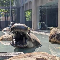 Lunch was a buffet in a funky building of glass stone and metal