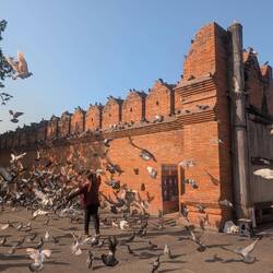 Phillip, our guide, was sad that we didn't want to slow mo with the flying rats at the city gate