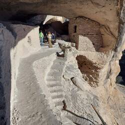 Die Frau Ranger erklärt.