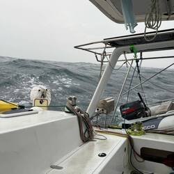 Trying to capture the swell and wind. These pics and video don't even begin to show what it was like