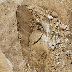 bei der Spur im Sand sind die verschiedenen Sandfarben sehr eindrücklich zu sehen