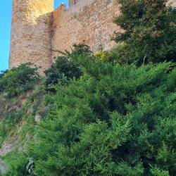 Wetter macht mit und Altstadt ist begehbar