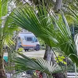 Wieder zu Hause gelandet ...