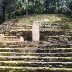 ... eine freigelegten Stele ...