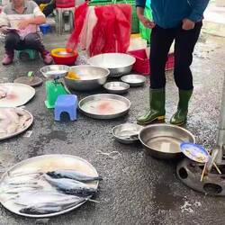 On vous rapporte quelque chose? Une petite viande / poisson ? 😁