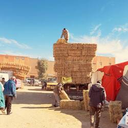 Ladungssicherheit wird hier groß geschrieben. Ca 5 m hoch