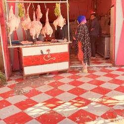 Schlachterei von Puten und Hühnern