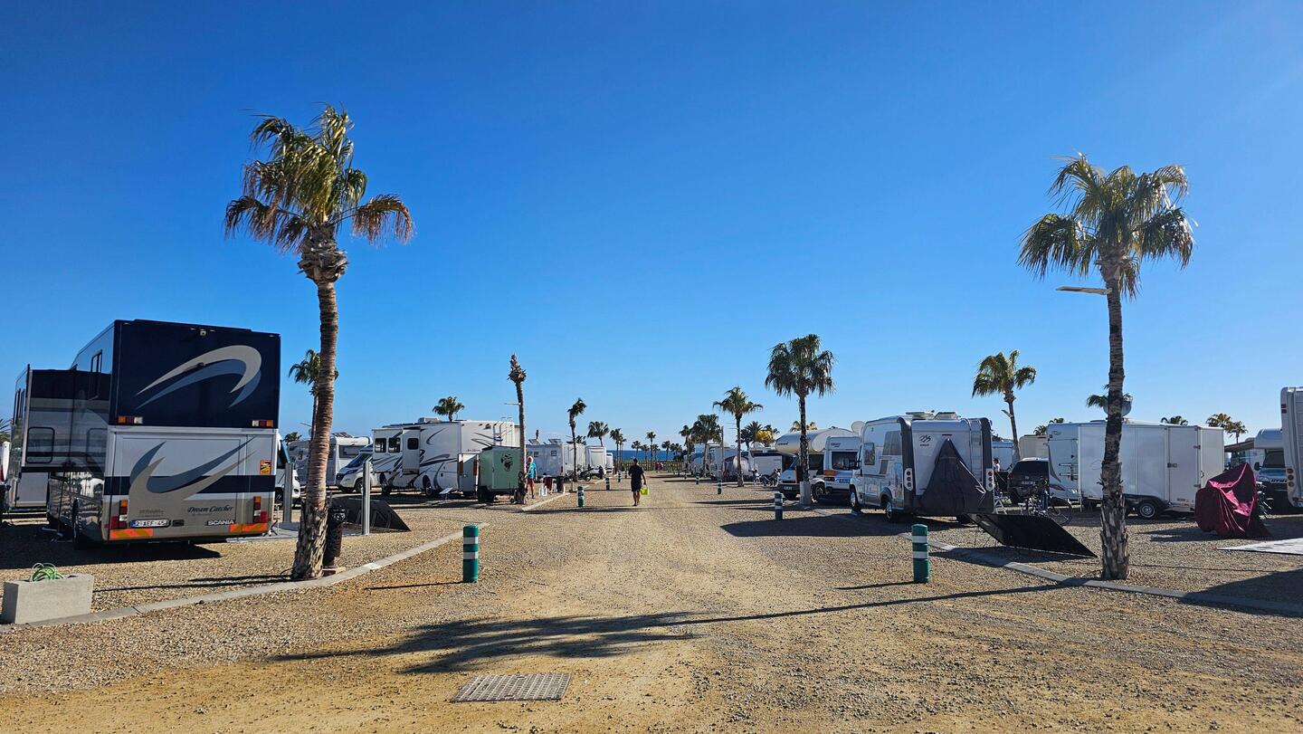 Der gesamte Platz ist mit Palmen bepflanzt 🌴.