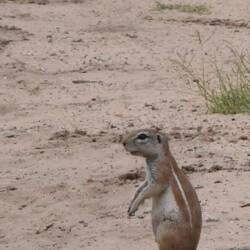 dieses passt jedoch gut auf